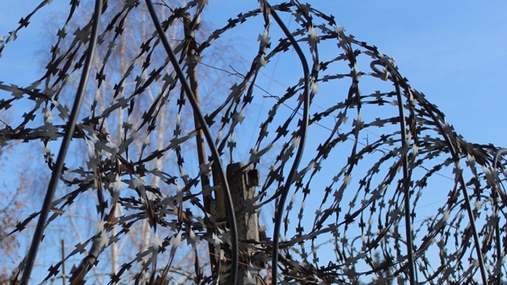 На каком участке белорусско-литовской границы установят первые километры ограждения