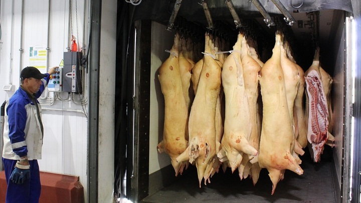 Беларусь запретила ввоз свиней из трех регионов России