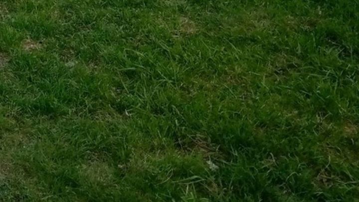 Это надо видеть: городскую свалку в Челябинске превратили в зеленый холм раньше срока