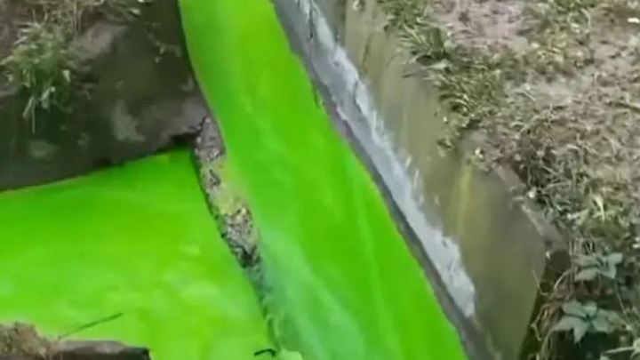 В ливневке Новороссийска жители обнаружили ядовито-зеленую воду