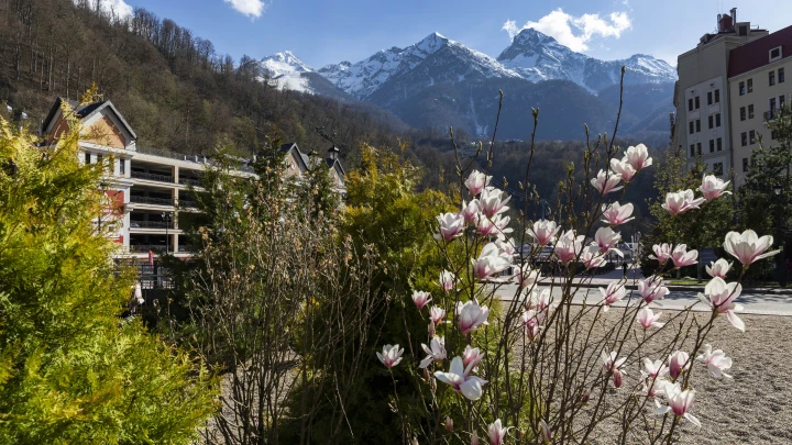 Синоптики рассказали, как на погоду в Сочи повлияет морозный антициклон