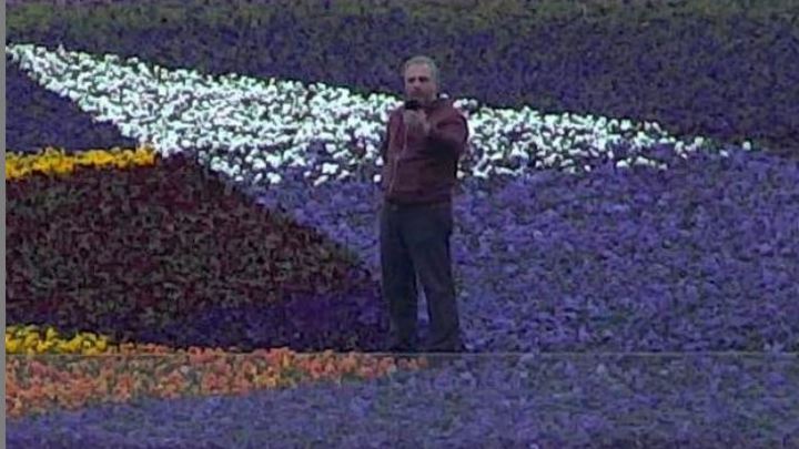 Парк Краснодар готов подать в суд на вандала, топтавшегося на клумбе