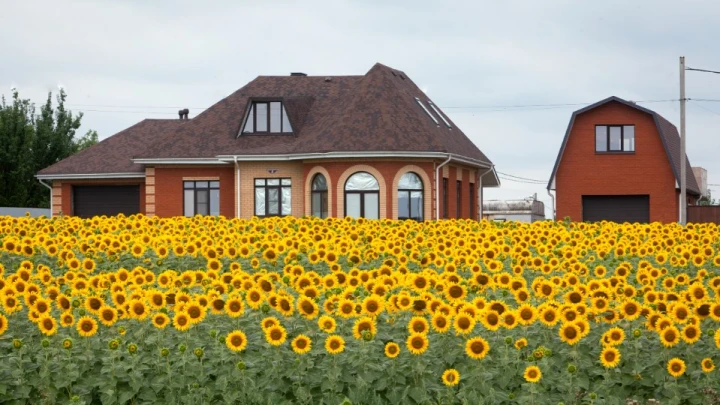 Штраф 50 тысяч, изъятие: Юрист – о том, чего нельзя делать на дачных участках