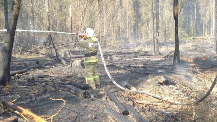 Лесной пожар в Верхнеландеховском районе ликвидировали за 2 часа