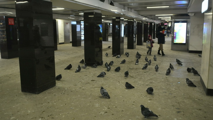 Навальнятам придётся найти 3 млн рублей на метро: Суд принял решение