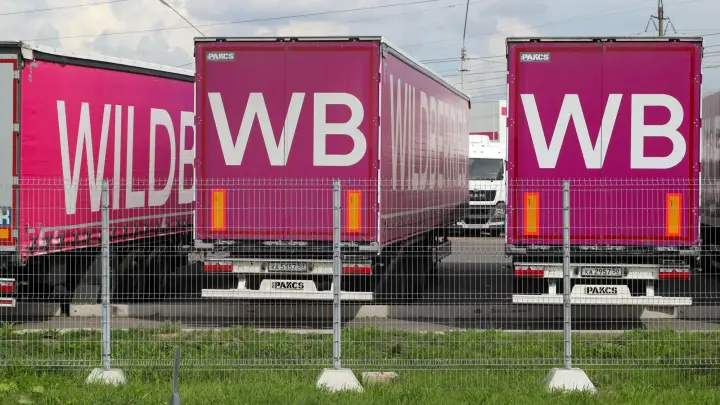 Эмираты становятся ближе: Wildberries запускает быструю доставку товаров из ОАЭ