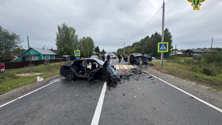 В Поморье вынесли приговор водителю, погубившему женщину и ребенка на М-8