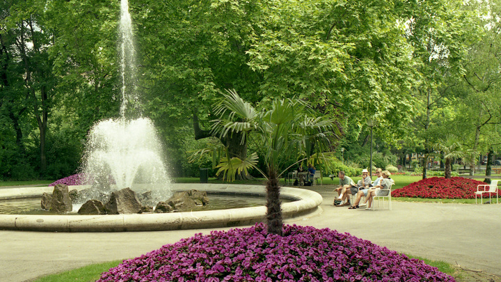 Бывший мясокомбинат в Петербурге превратят в зелёную зону