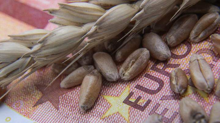 Кремль подтвердил продление зернового соглашения