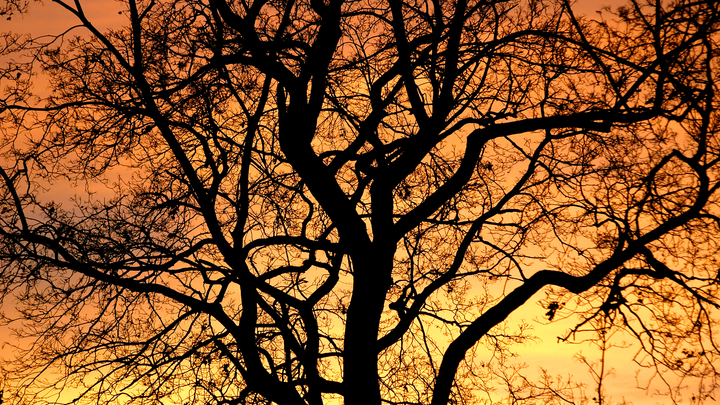 Не страшные пророчества, а наказание. Что происходит с сатанистами Киева прямо сейчас