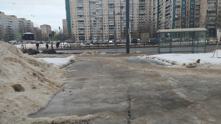 В Краснодаре директора УК наказали после видео, на котором инвалид-колясочник убирает снег