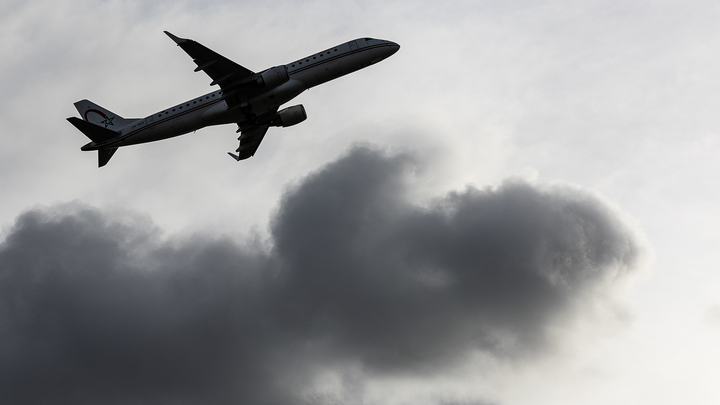 Подозреваемая в убийстве Татарского планировала уехать на Украину - источник