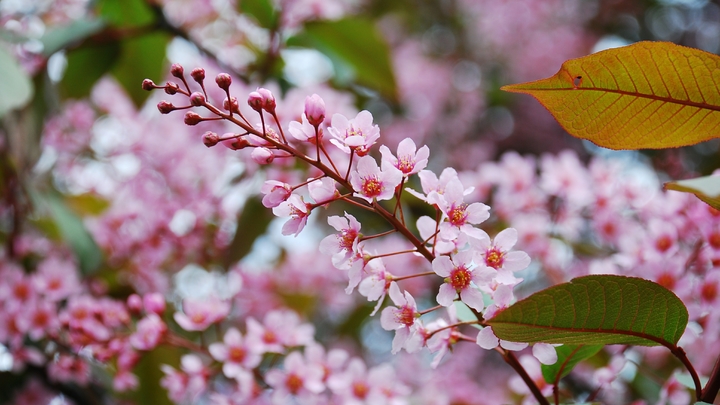 Япония снизила ввоз из России природного газа и угля в августе 2023 года