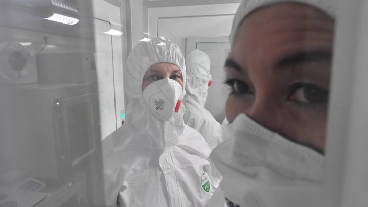 Пришла без маски и перчаток, и оклеветала: Профессор ИТМО получил извинения за выходку медсестры