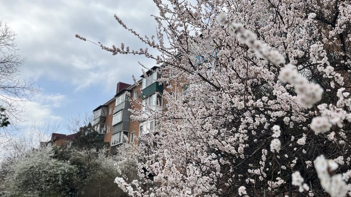 На Кубани на Пасху будет тепло: синоптики дают окончательные прогнозы на эту неделю