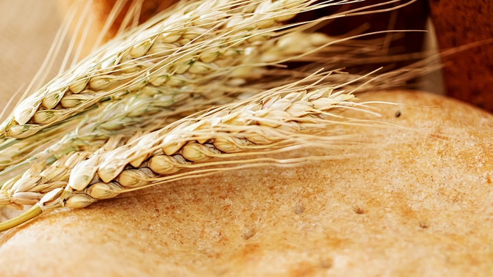 На рынке России появится консервированная пророщенная пшеница из Беларуси