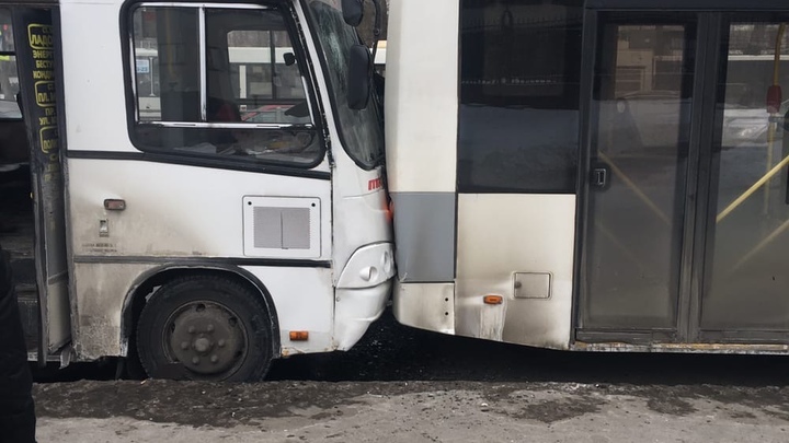 В Петербурге маршрутка с пассажирами врезалась в автобус: пять человек пострадало