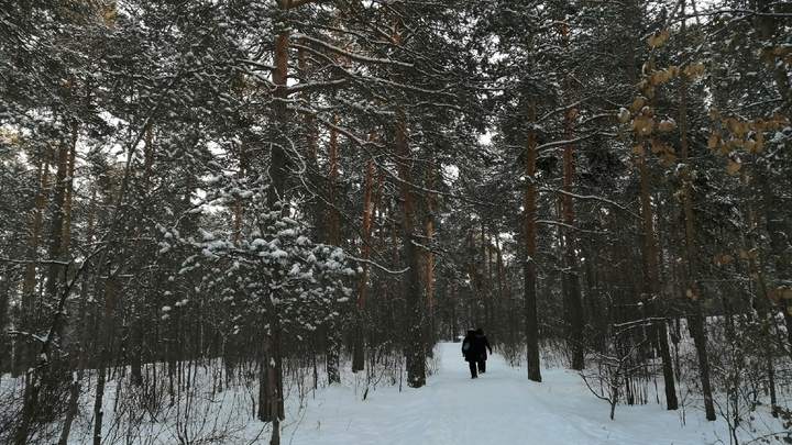 Откуда ждать пожаров и когда придет большая вода в Зауралье