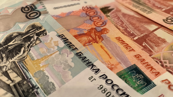 Катасонов назвал четыре вида денег: Чиновники в России сделали провальную ставку