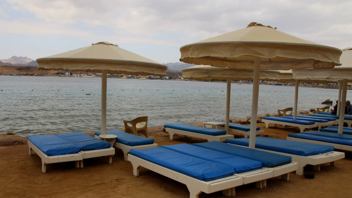 Египет готов на всё ради русских: Оверчук объяснил причину