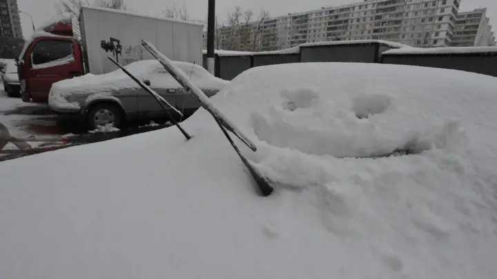 В Красноярском крае сын расправился с отцом из-за надписей на машине