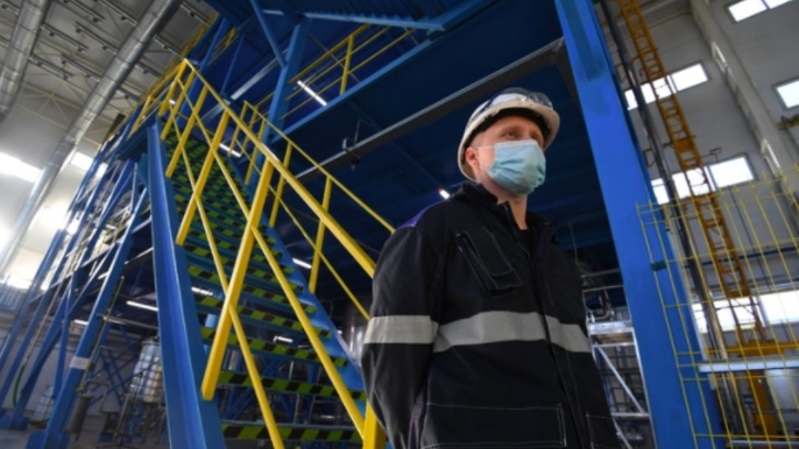 Коронавирус в Ленобласти на 23 февраля: основные профессии мужчин во время пандемии