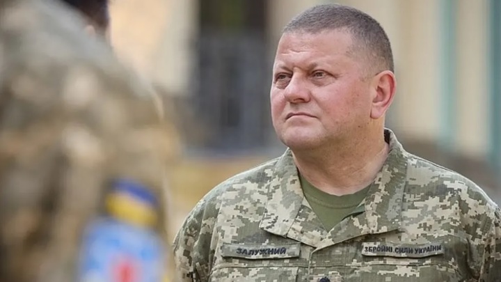 Депутат Рады Шевченко раскрыл секрет: Залужный будет послом в Великобритании