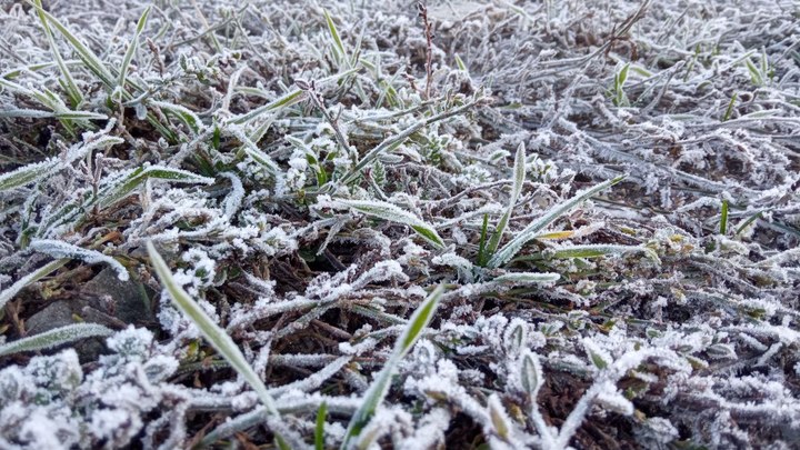 Погода в Ростове-на-Дону 18 ноября 2022: прогноз синоптиков