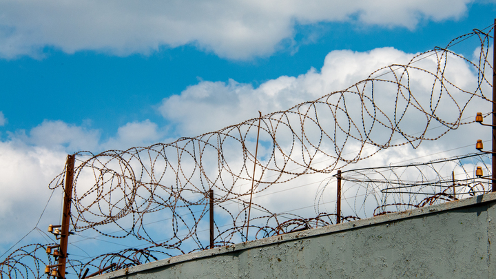 Ужасающая статистика: Сотни палестинских детей ждут расстрела в израильских тюрьмах