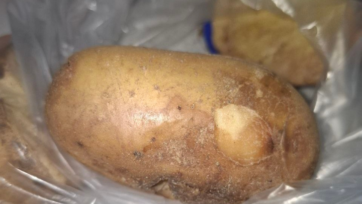 Россельхознадзор предотвратил ввоз 10 тонн зараженного картофеля из Китая в Забайкалье