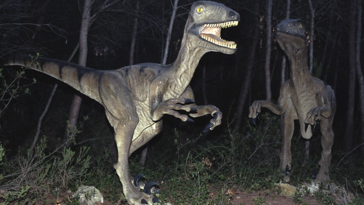 Появится одежда из кожи динозавров: древние ящеры в моде