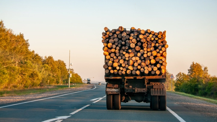 Трагедия на трассе: прицеп лесовоза насмерть задавил отца и сына-подростка
