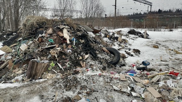 Нечищенный, заваленный мусором Петербург: кто ответит за испорченные каникулы в Северной столице?
