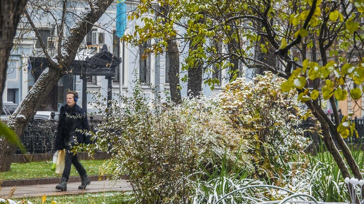 Первый снег прогнозируют в Москве уже в конце этой недели