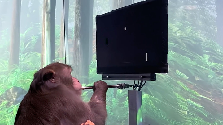 Илон Маск выставил сенсацией протухшие 20 лет назад данные