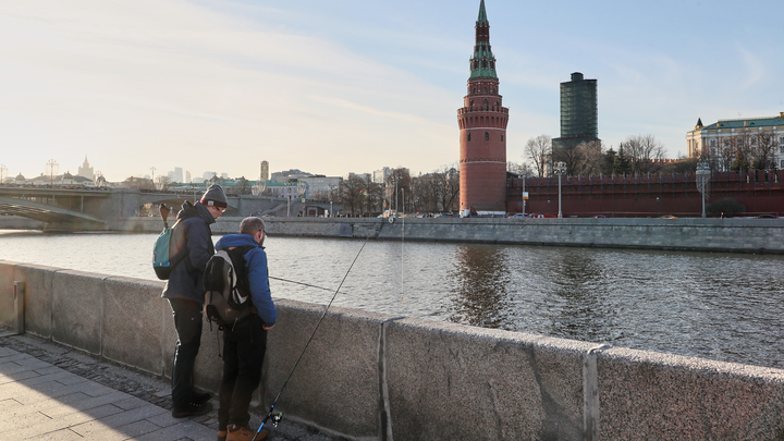 Пакет с женской ногой нашли в Москве-реке