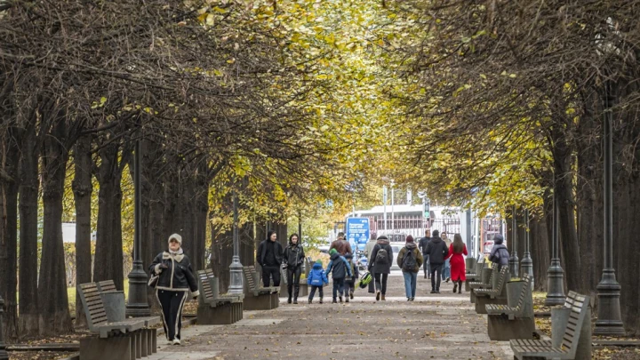 Зелёный каркас обеспечит баланс природы и урбанистики в Москве