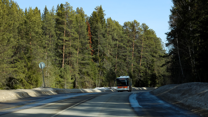 Детектор лжи и вопросы про Крым: Автобус из Петербурга удерживают на границе с Литвой