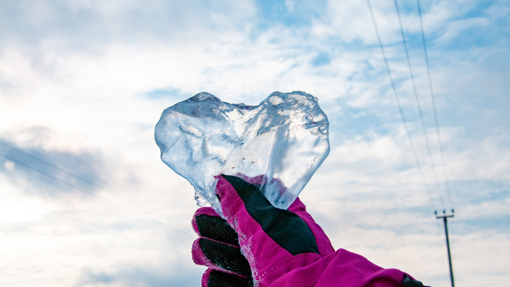 Самое трогательное видео дня: Рыдают даже суровые мужики