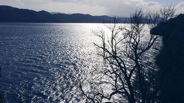 Неожиданно: Учёный сообщил о разгадке тайны лох-несского чудовища