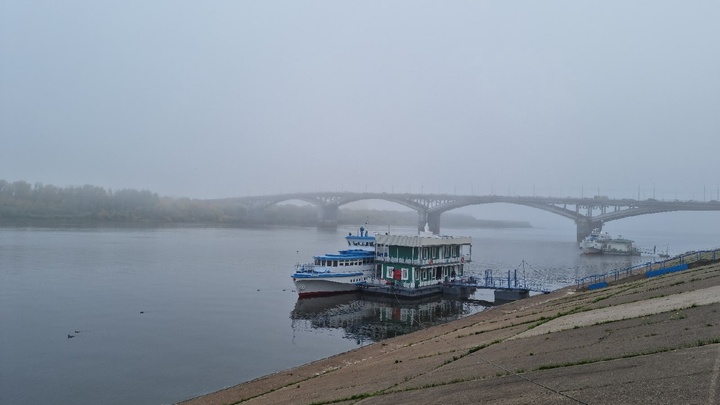 Нижегородцам пообещали провести озеленение Нижневолжской набережной и исправить недочёты