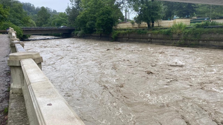 В районе ТЦ Александрия спасатели помогли человеку, упавшему в реку Сочи