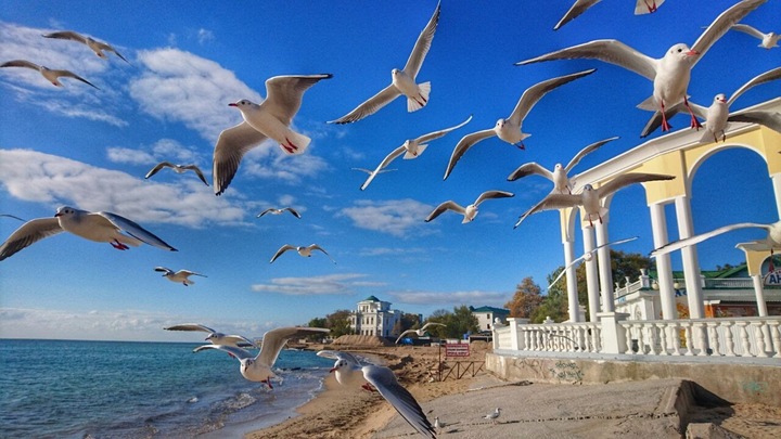 Названы сроки отмены коронавирусных ограничений в России