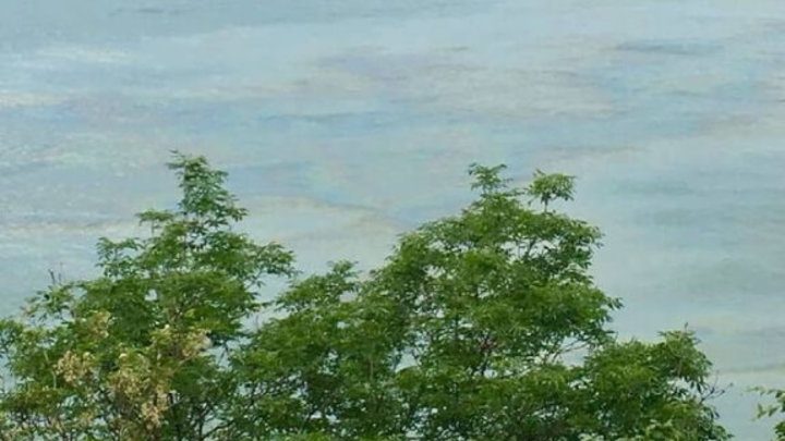 Уборке не подлежит: В море у Туапсе продолжает плавать нефтяное пятно