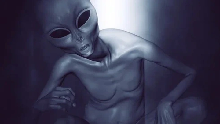 Бактерии на Венере и марсианские археи: Список из 5 мест во Вселенной, где подозревают наличие жизни