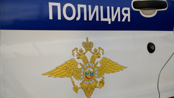 В Краснодаре живодёры обезглавили собаку