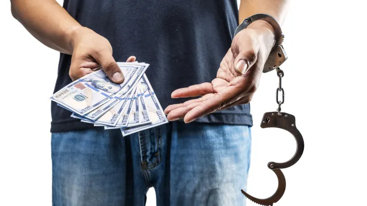 Лазарева* назвала причину частых случаев мошенничества в России