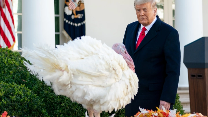 FT: США рассчитывают, что Зеленский подпишет мирный план к 27 ноября