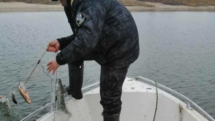 Из Цимлянского водохранилища во время рейда вытащили около километра сетей