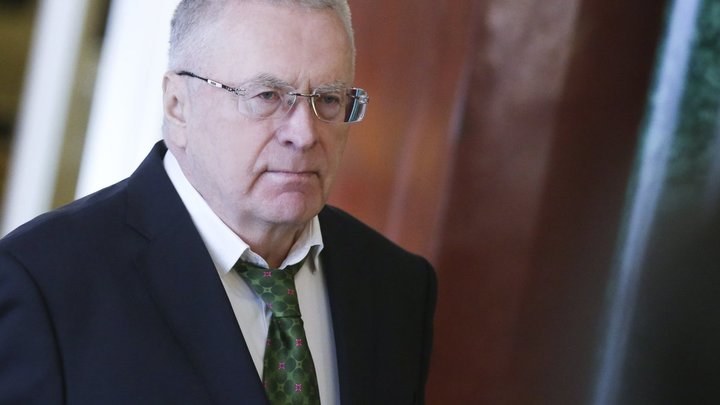 В ЛДПР назвали дату начала съёмок фильма о Жириновском с Кологривовым в главной роли